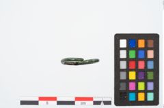 Foto von Bronzering (NHMW-PRAE-026374)